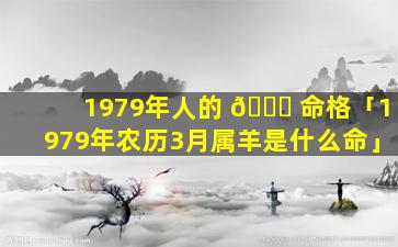 1979年人的 💐 命格「1979年农历3月属羊是什么命」